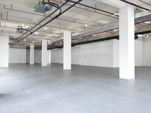 张江高科,一楼1170平办公室,产品研发企业优选,层高5米,架空地板